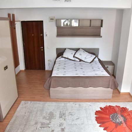 Apartament Frunzei Nagyszeben Kültér fotó